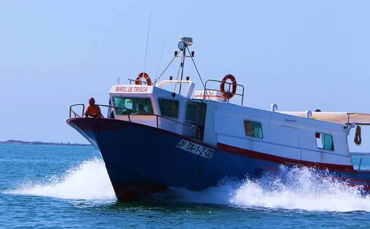 Imagen de Capitol 11 - 2017